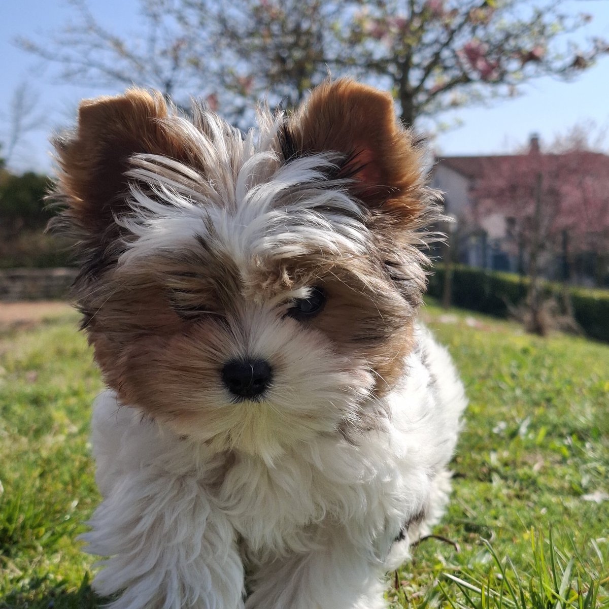 🍂🐌🌲Linzi~Ellen📚🌿🐛 tweet media