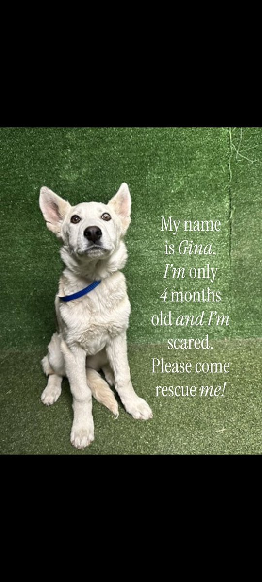 Wintersky tweet media