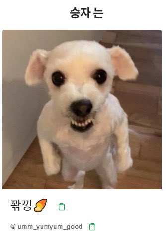 𝐄𝐫𝐮𝐃𝐨𝐫𝐚𝐝𝐨 2026 엘빈 스미스 생일카페 tweet media