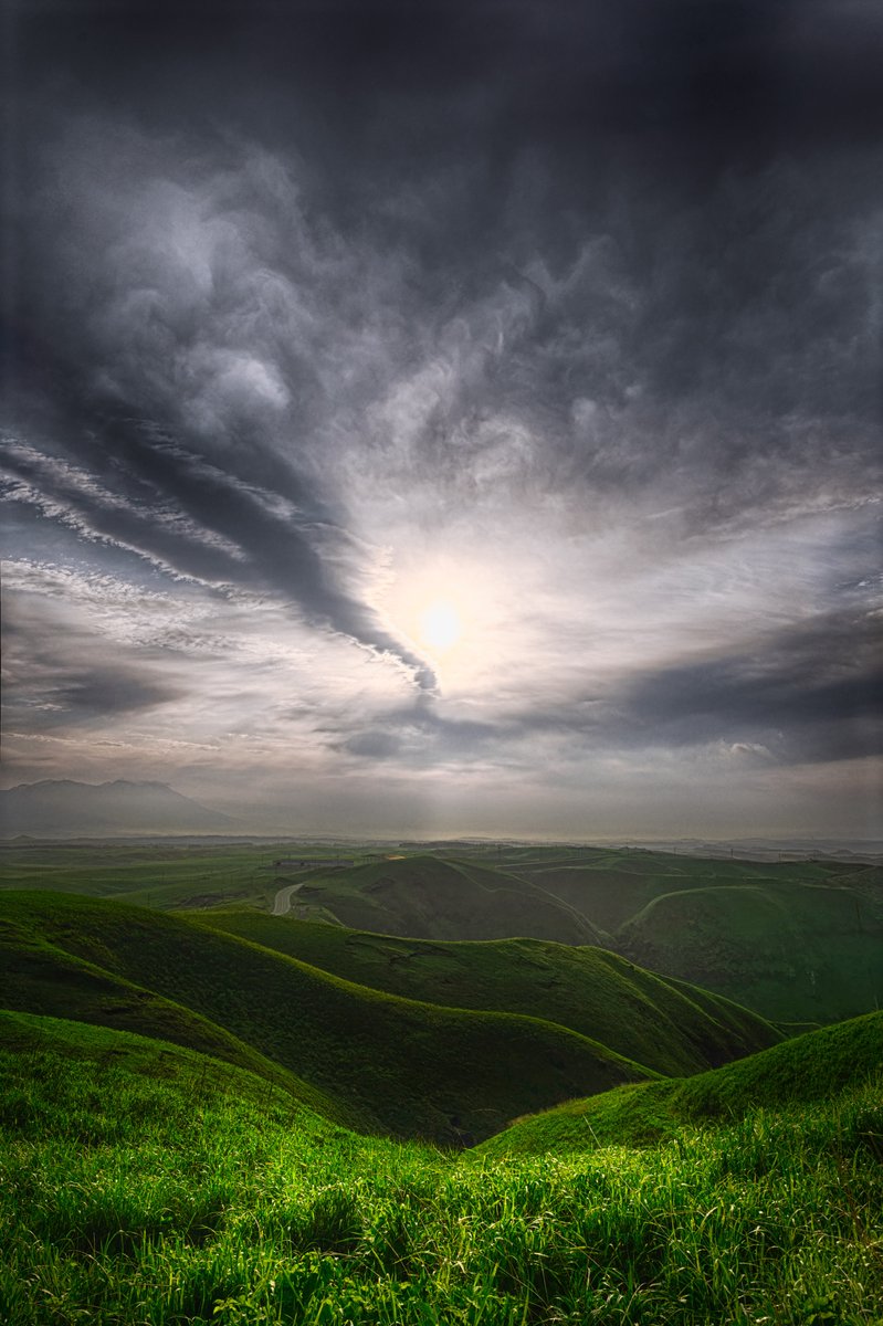 Hiro Morioka | カメラで描きたい人 tweet media