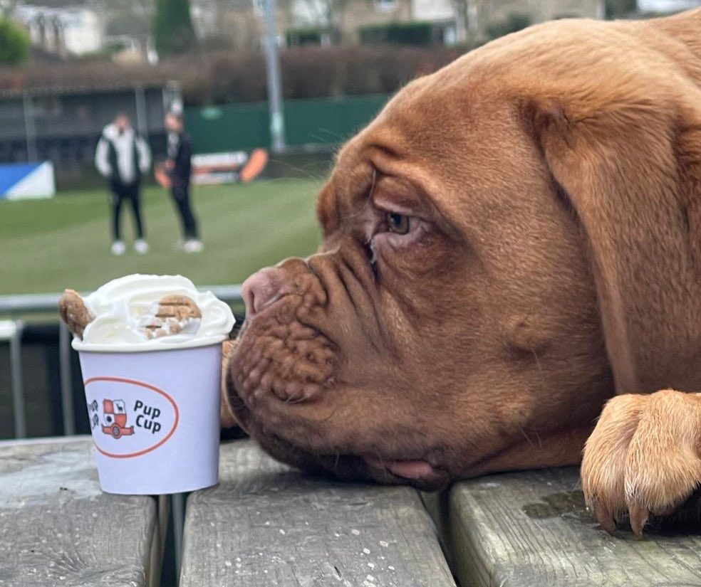 Hartley Wintney FC tweet media