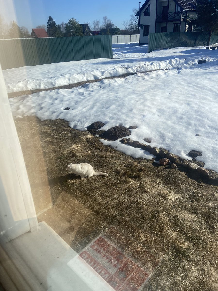 Игорь Буга tweet media