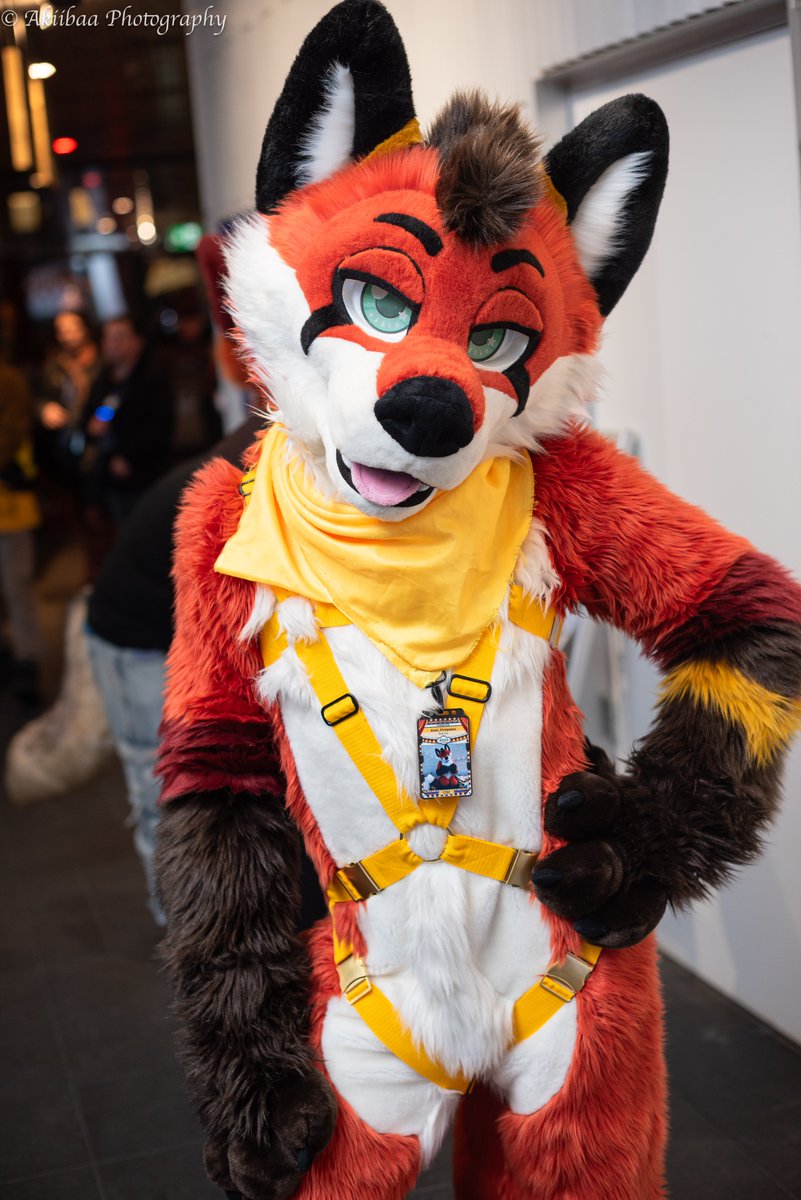 Axel 🔜 NFC, Ibercon❓ tweet media