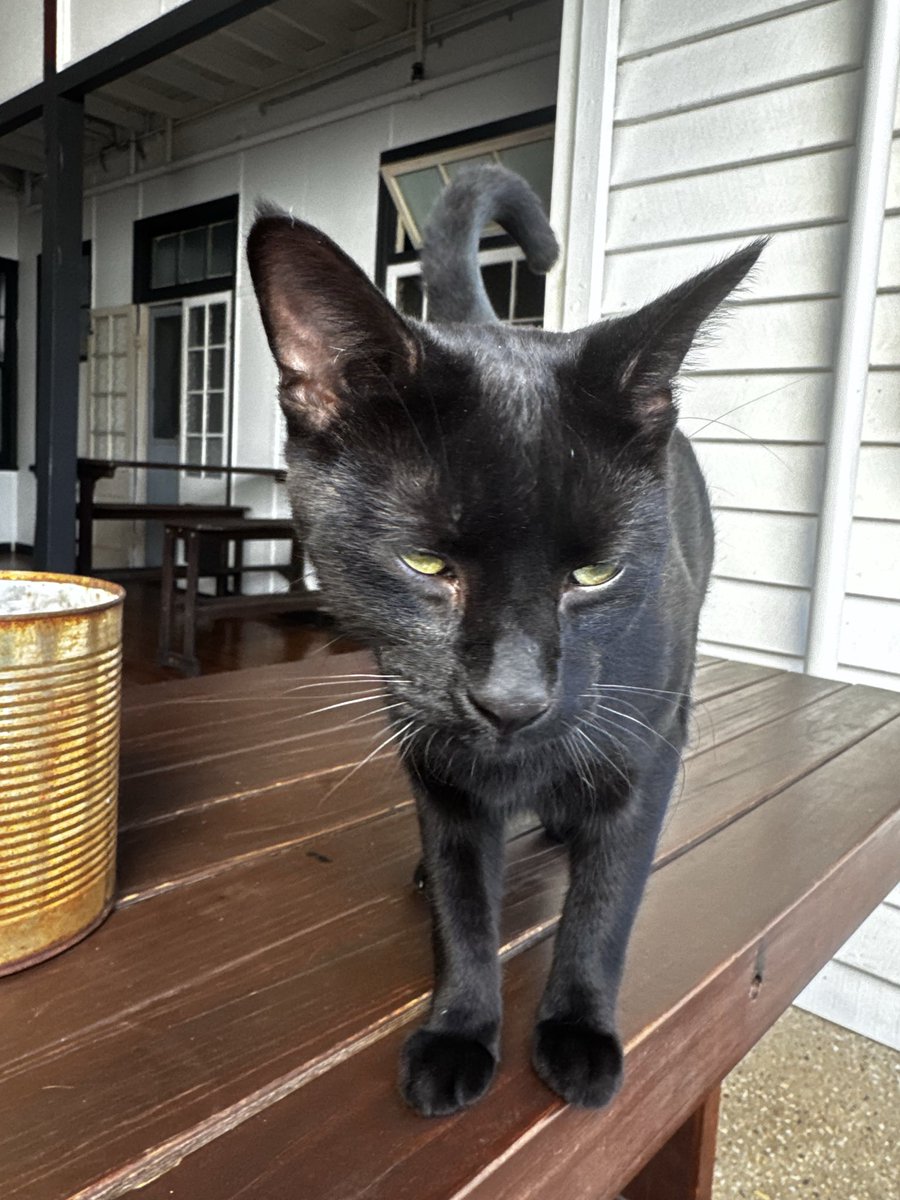 Alligoeslightly tweet media