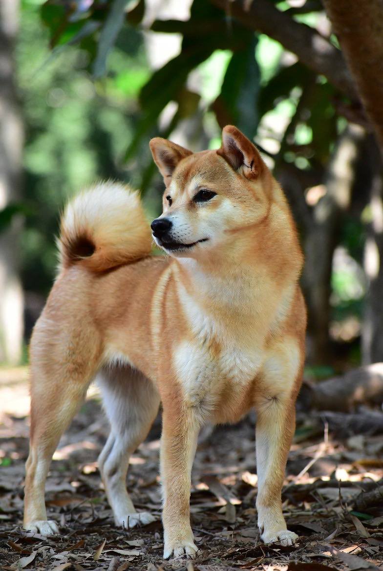 GemFinderCrypto tweet media