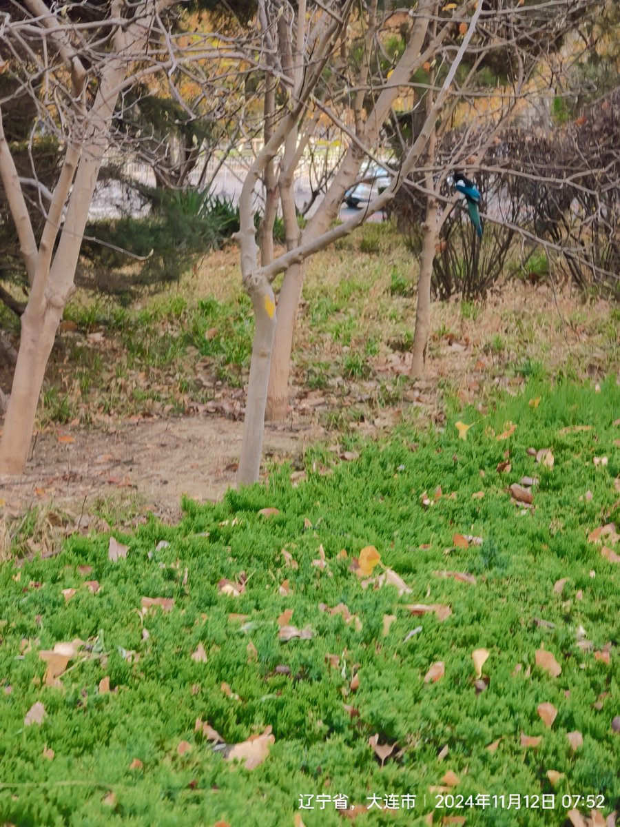 Arvind Kumar tweet media