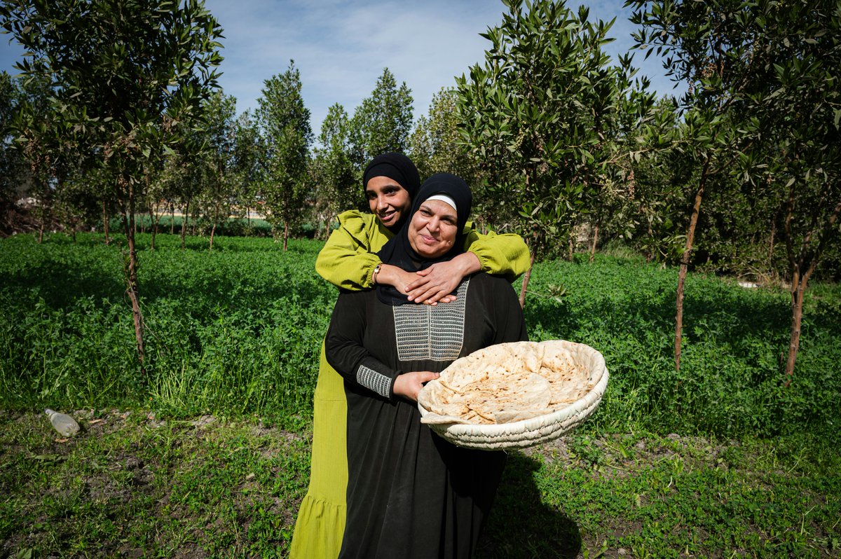 Rawad Halabi tweet media