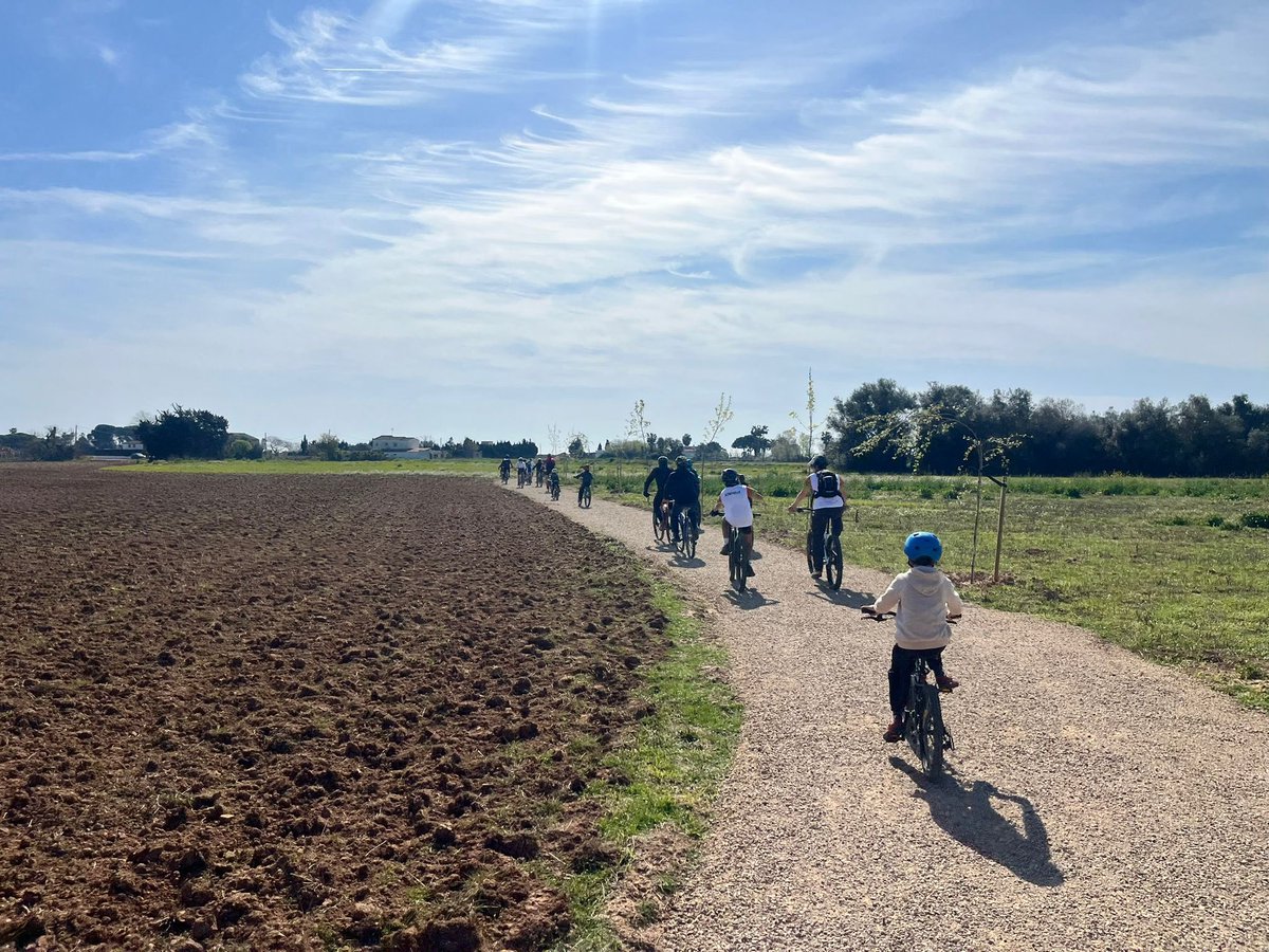 Ajuntament d'Altafulla tweet media