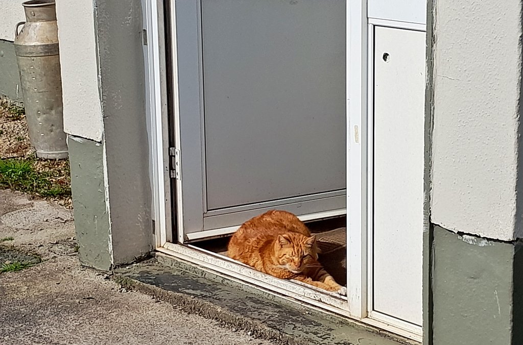 Karen McCabe tweet media