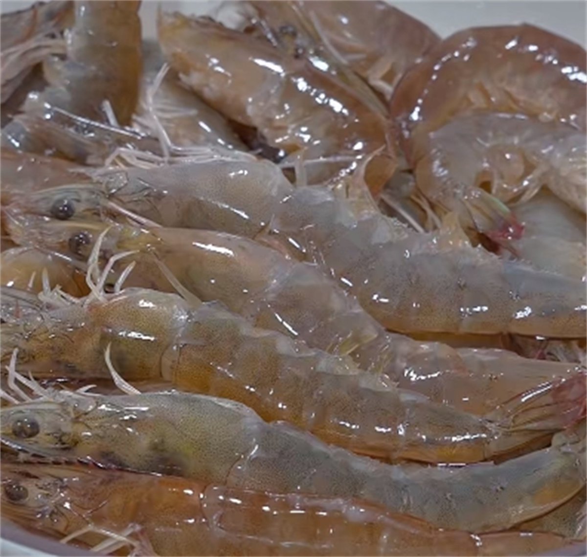 lousberg roland tweet media