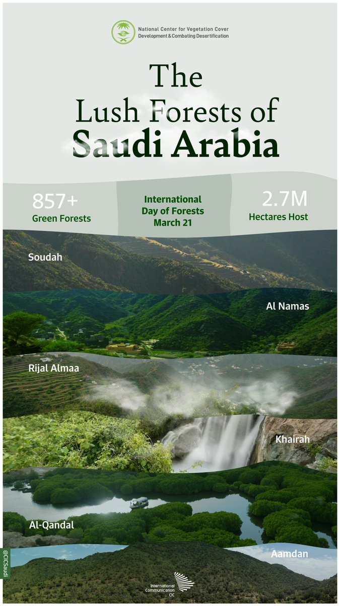 CIC Saudi Arabia tweet media