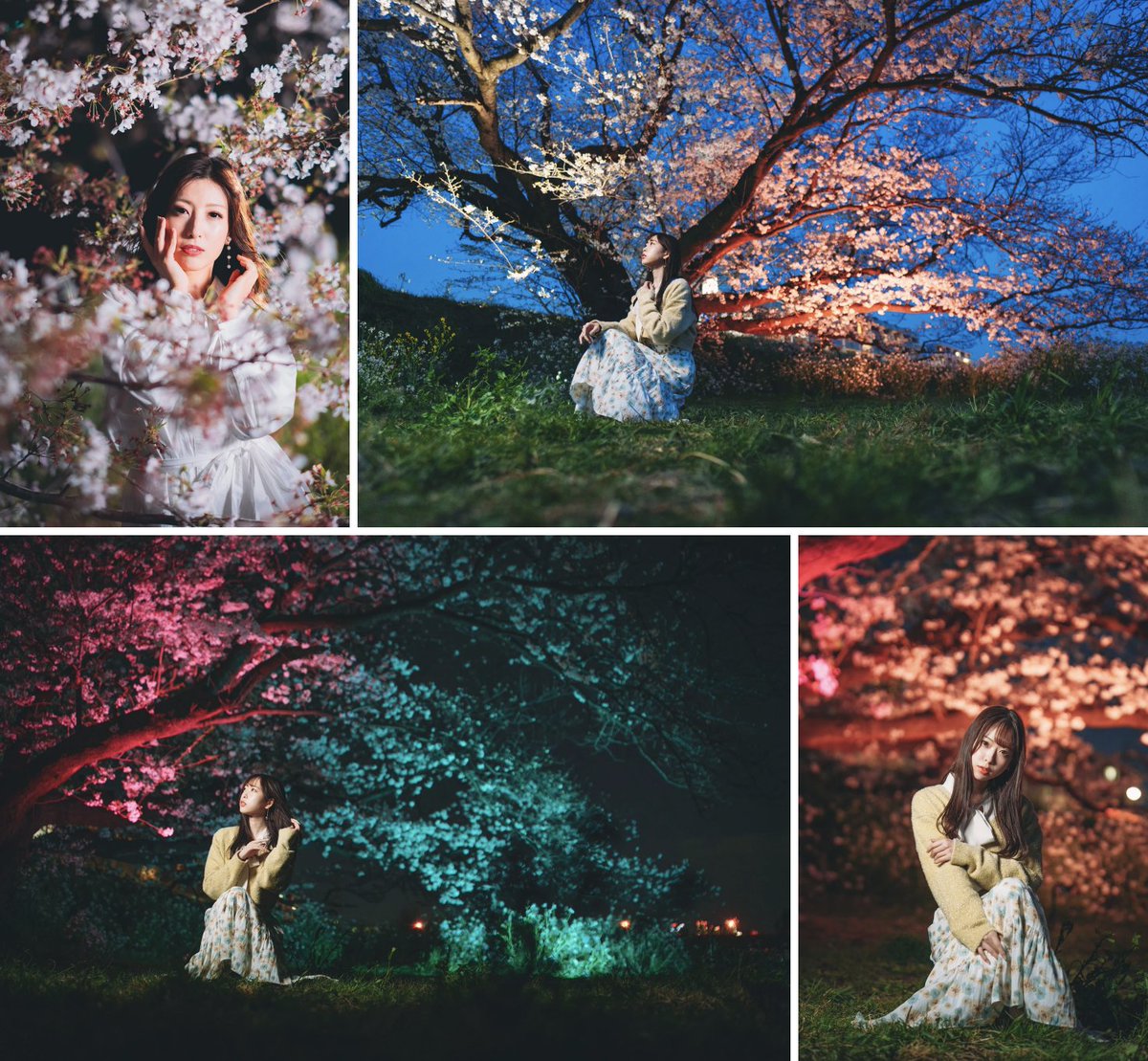 ポートレート講座開催数「日本一」📷️「カメ教！」カメラの教室 tweet media