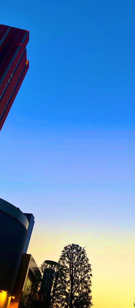 KORO_kokodayo's tweet image. #gradation
 #夕方から夜の間
 #良い夜を