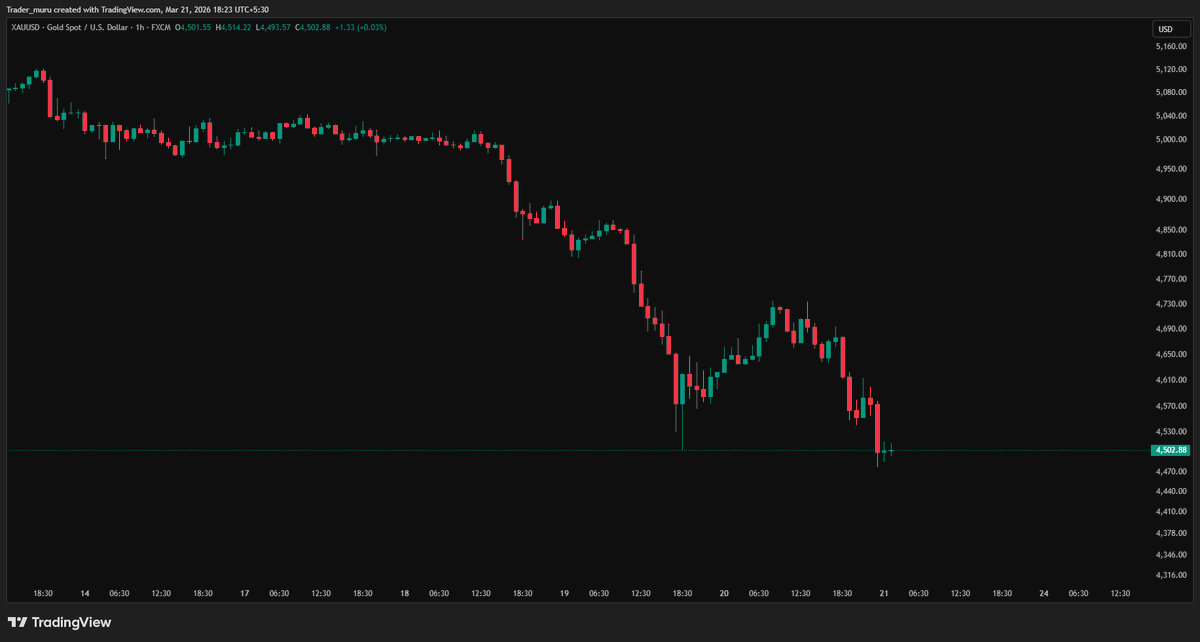 Trader Muru tweet media