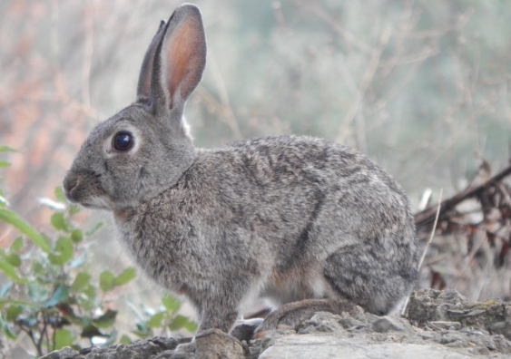 Draconianwrath tweet media