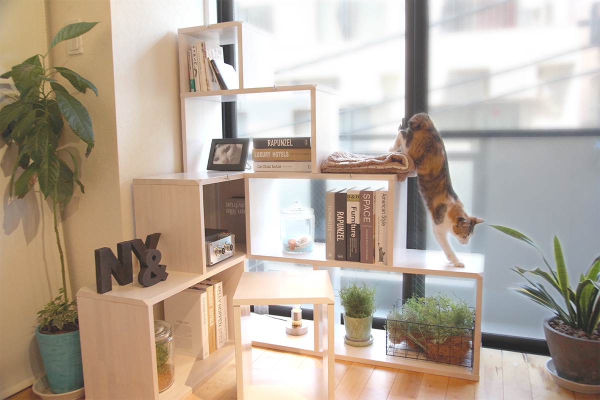 nyandstyle's tweet photo. ＊ニャンドポイント＊

NY&amp;は猫が登り下りしやすい角度や落ち着けるスペース、そして家具として使える各種寸法をかけあわせてデザインされています。

猫飼いの建築家がそれら全ての要素を緻密に計算し、この特徴的な形を生み出しました。

☞https://t.co/ImEGQWcUsc https://t.co/YhpwHYdbHL