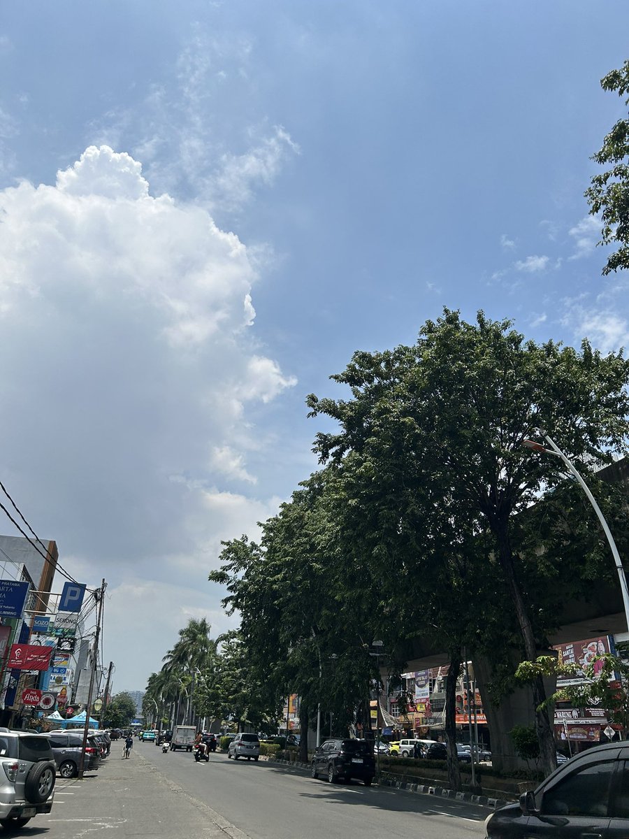 Si Paling Kelapa Gading 🍜 tweet media