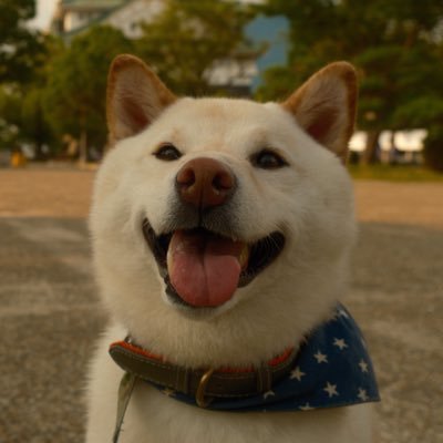 メンタル強化🔋 自分らしく生きる tweet media