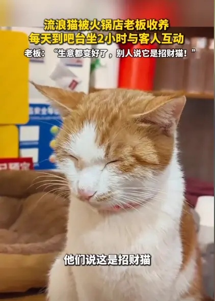 Jon Weaver tweet media