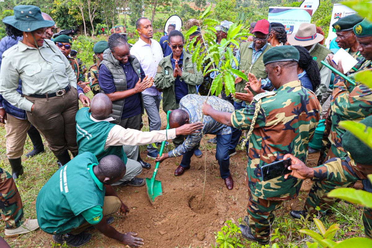 Ministry of Environment, Climate Change & Forestry tweet media