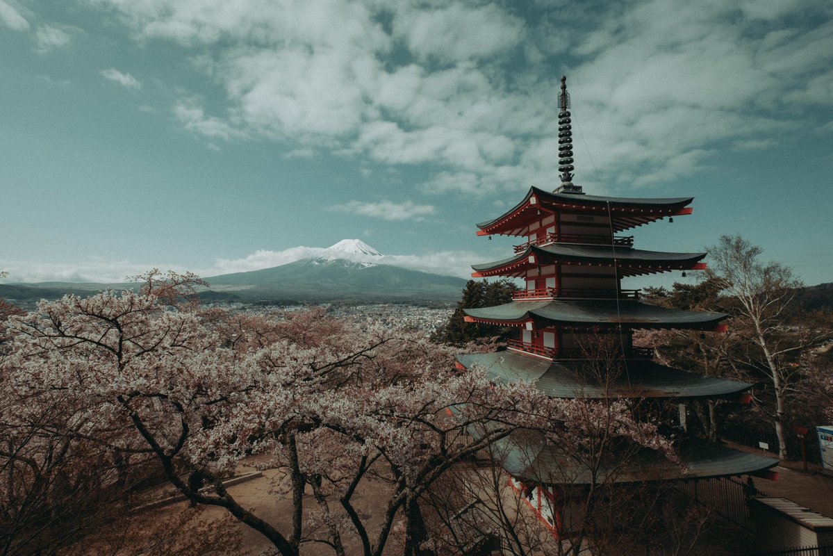 Riki Shinagawa tweet media