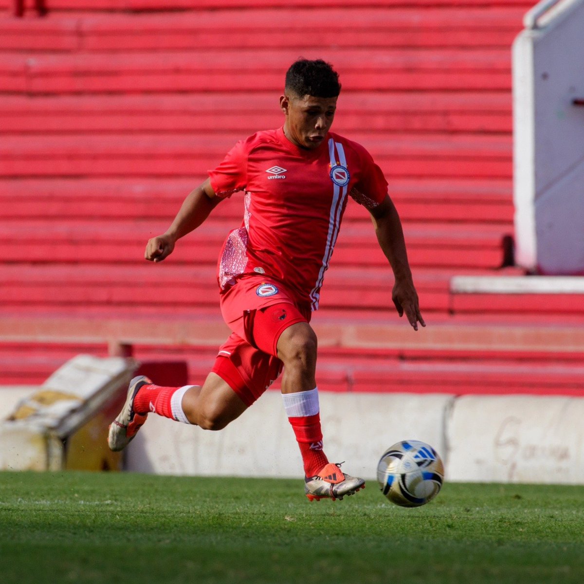 Pasión Paternal 🐞 tweet media