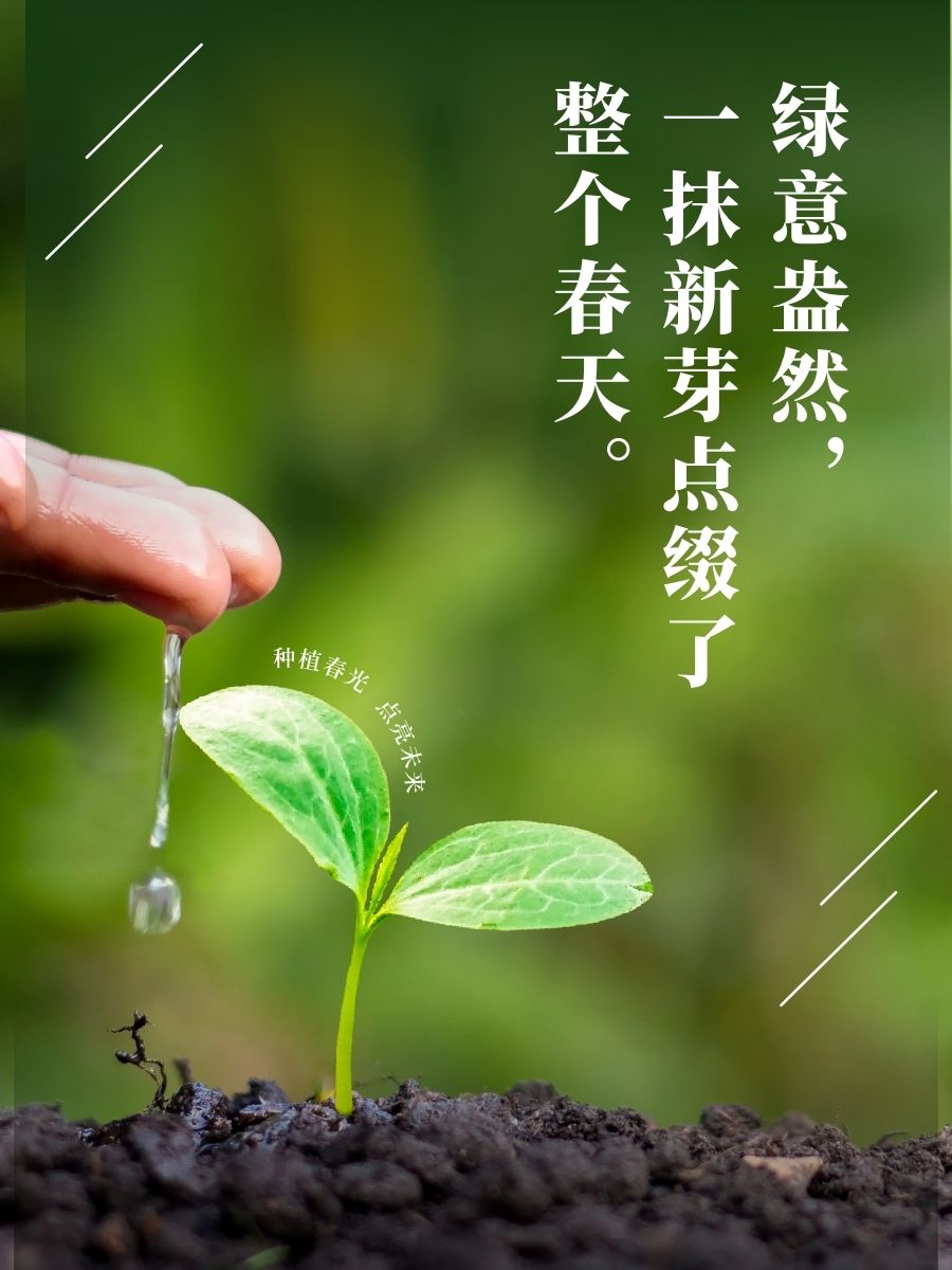 easternpixel tweet media