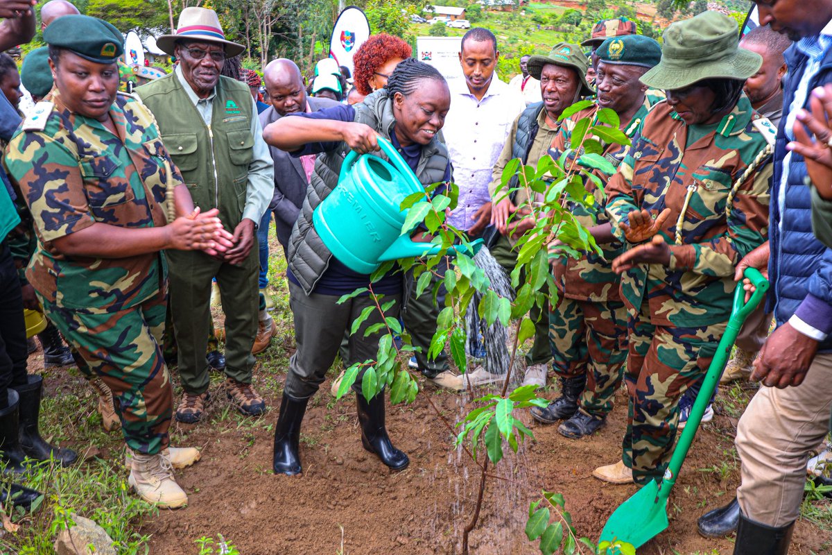 Ministry of Environment, Climate Change & Forestry tweet media