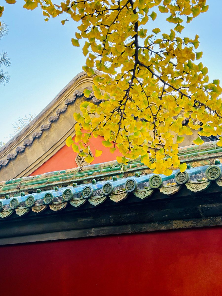 Hakan Hazar tweet media