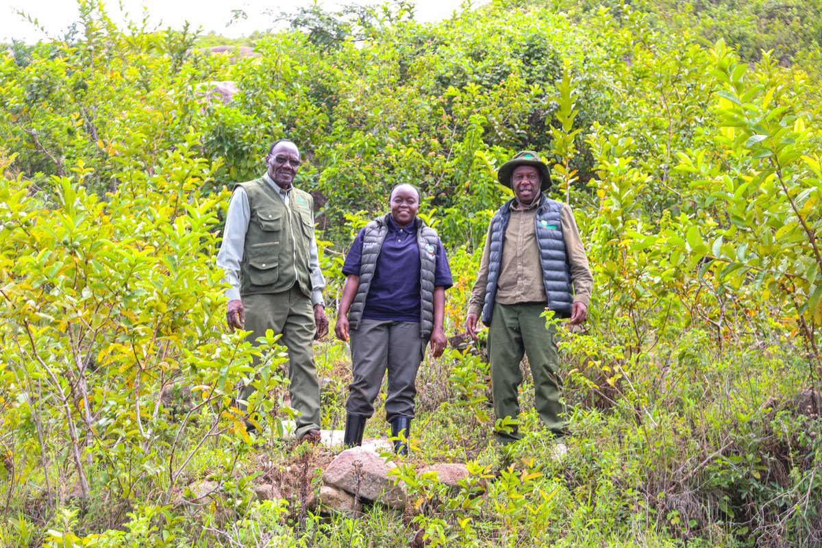 Ministry of Environment, Climate Change & Forestry tweet media