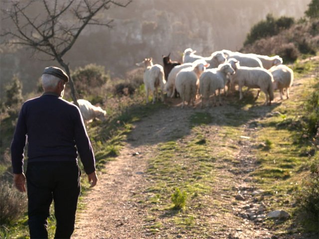 Sama Hoole tweet media