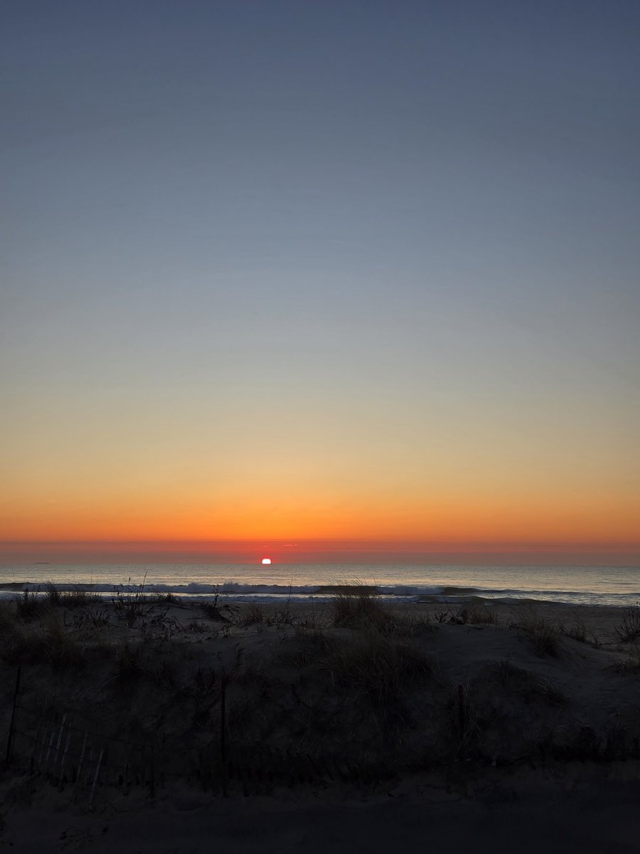 NJBearsFan 🐻⬇️ tweet media