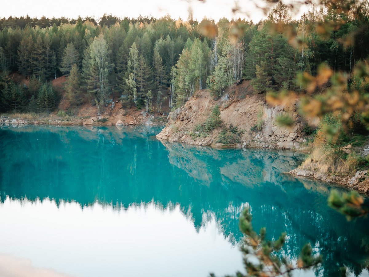 Johnny Rebel tweet media