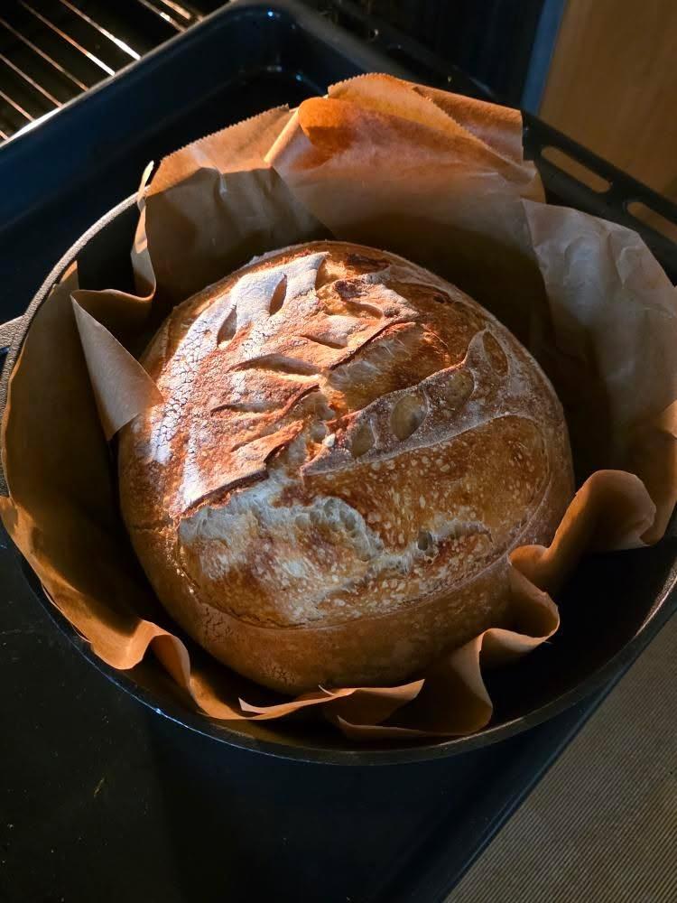 Ochi 🩷Orchid Mantis Vtuber 🩷 tweet media