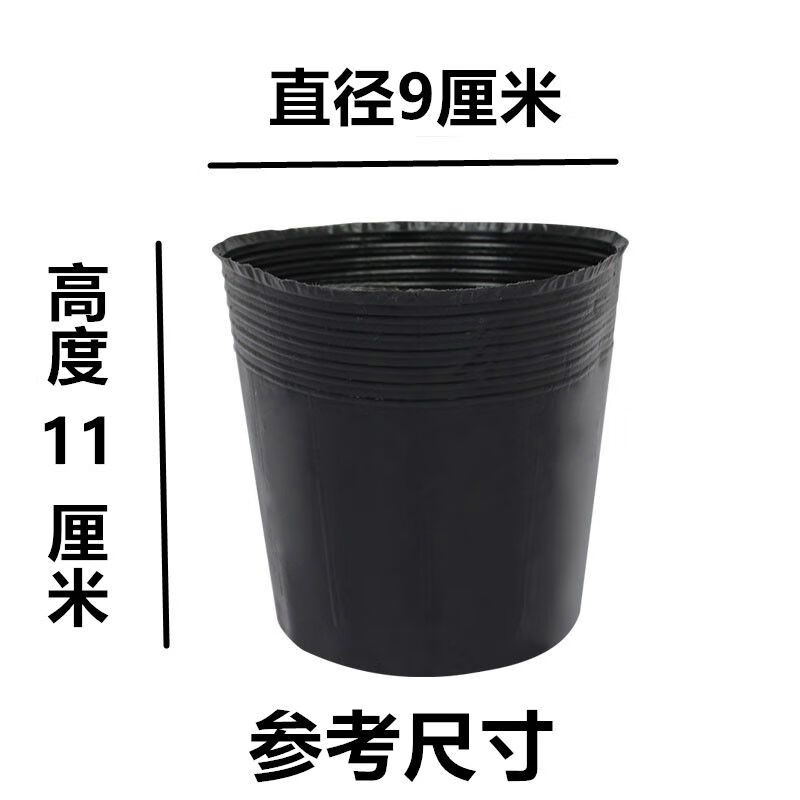 stamatis tweet media