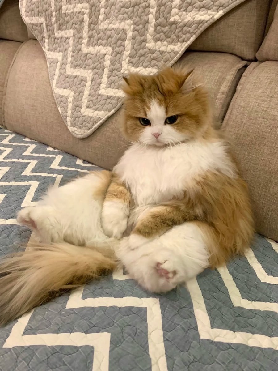 Purely Green tweet media