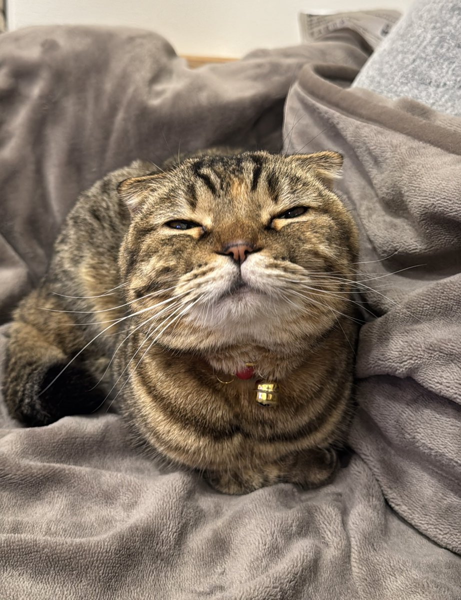 まつたけ tweet media