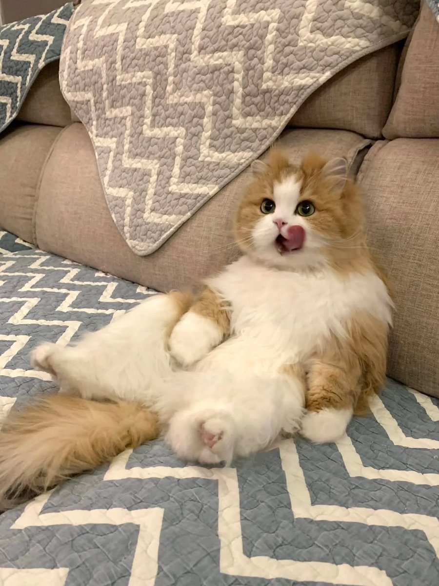 Purely Green tweet media