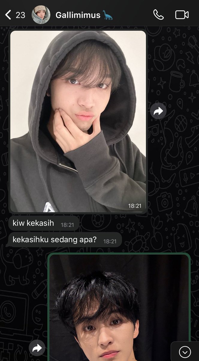 viellé. tweet media