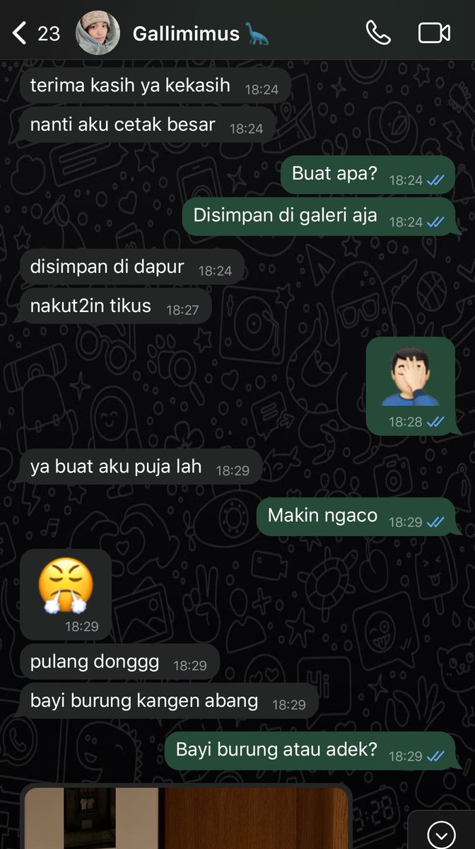 viellé. tweet media