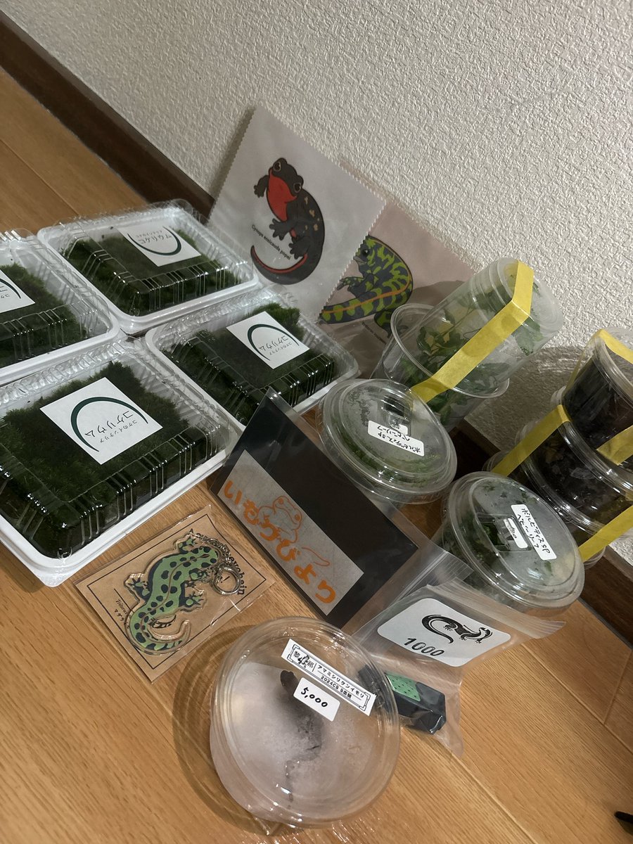 鸕宮。 tweet media