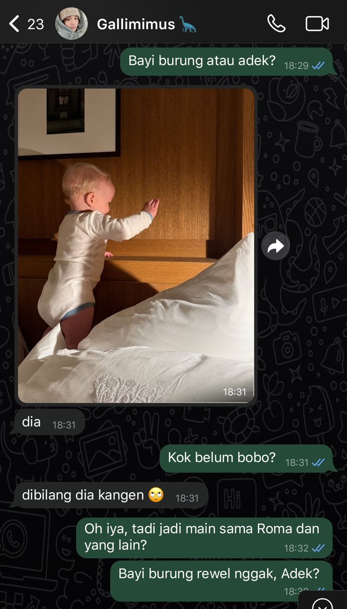 viellé. tweet media