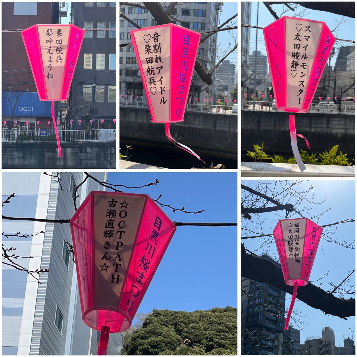 Nirei177's tweet photo. 今日は
『𝗢𝗖𝗧𝗣𝗔𝗧𝗛 𝗟𝗜𝗩𝗘 𝟮𝟬𝟮𝟲 -𝗣𝗔𝗧𝗛 𝘁𝗼 𝗗𝗿𝗲𝗮𝗺- 』の日
ランチに選んだお店は🤩
美味しかったけど辛かった〜
ぼんぼり見に行ったら、見つけた🫶🫶🤭
2時間近く歩いて、ドームにGO🏃💨
楽しかった(≧∇≦)

#中目黒桜まつり 
#OCTPATH @OCTPATHofficial https://t.co/YFtui4qxRN