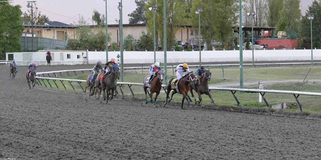 High Octane Racing 🔥🌹 tweet media