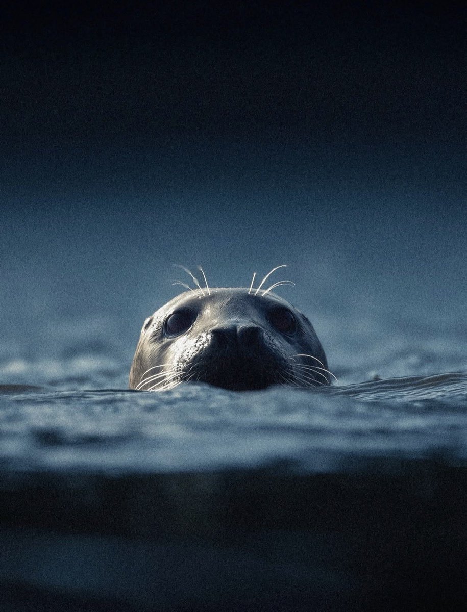 Earth’s Beauty tweet media