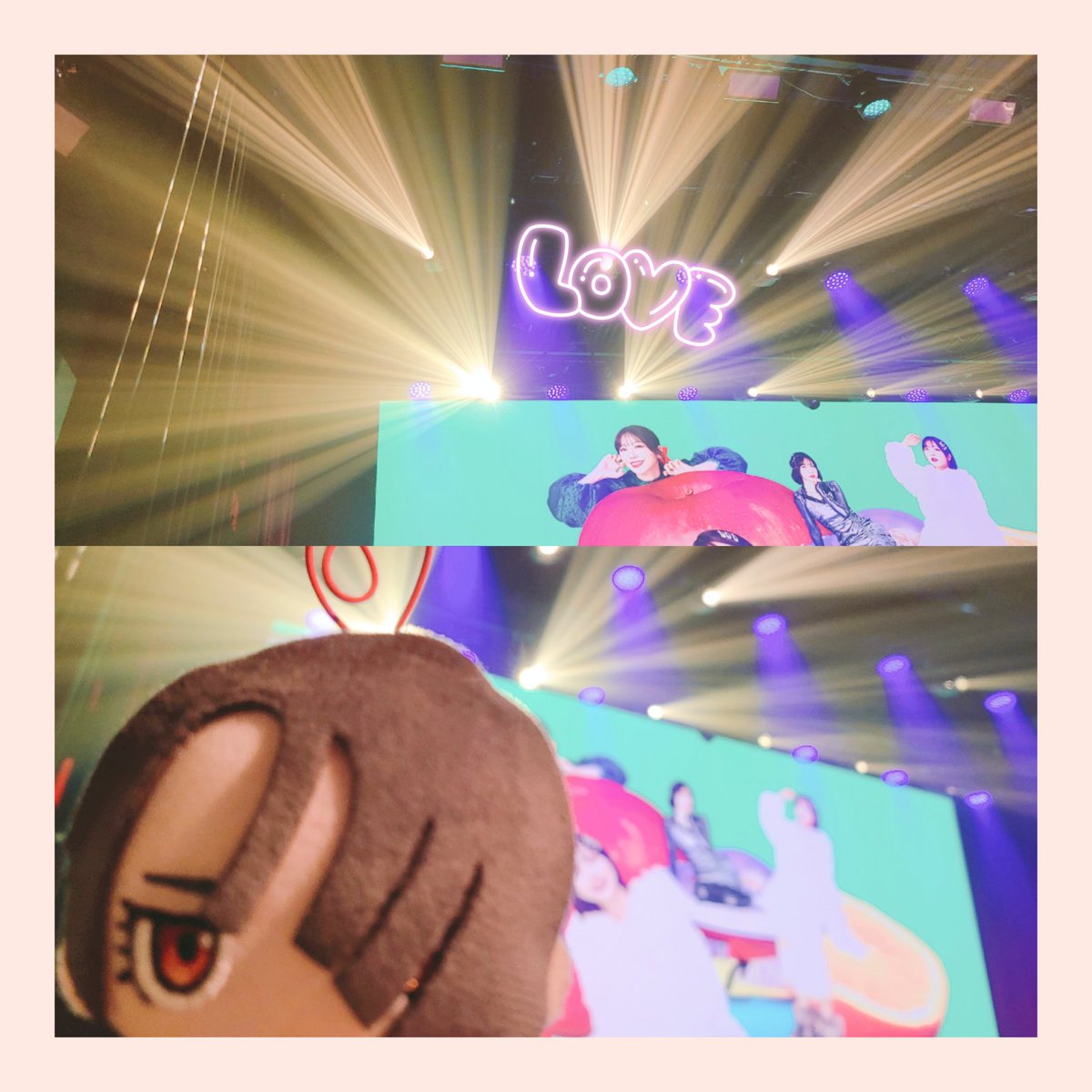 아넬🍚 tweet media