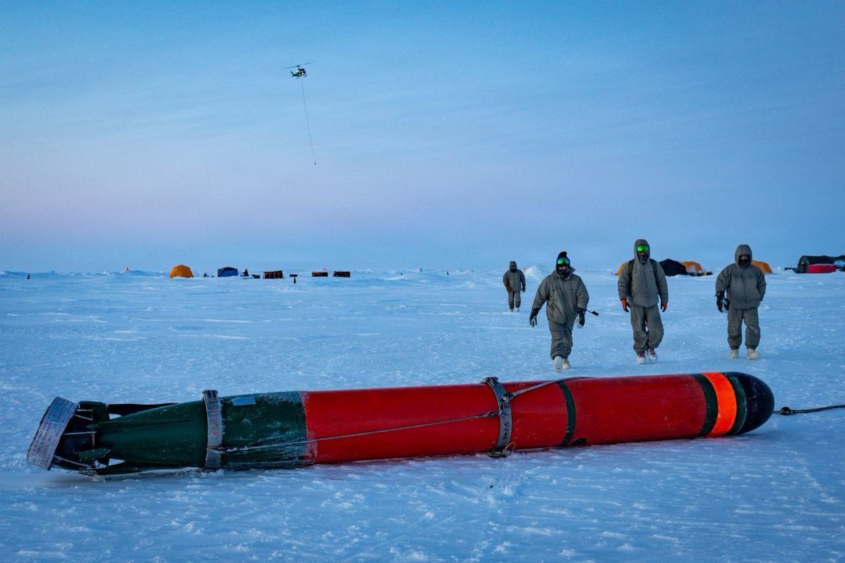 ๐ท๐บ โ๏ธ ๐ฎ๐๐๐๐๐๐๐๐ ๐ฌ๐๐๐๐๐ โ๏ธ tweet media