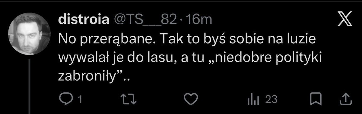 Mikołaj Pisarski tweet media