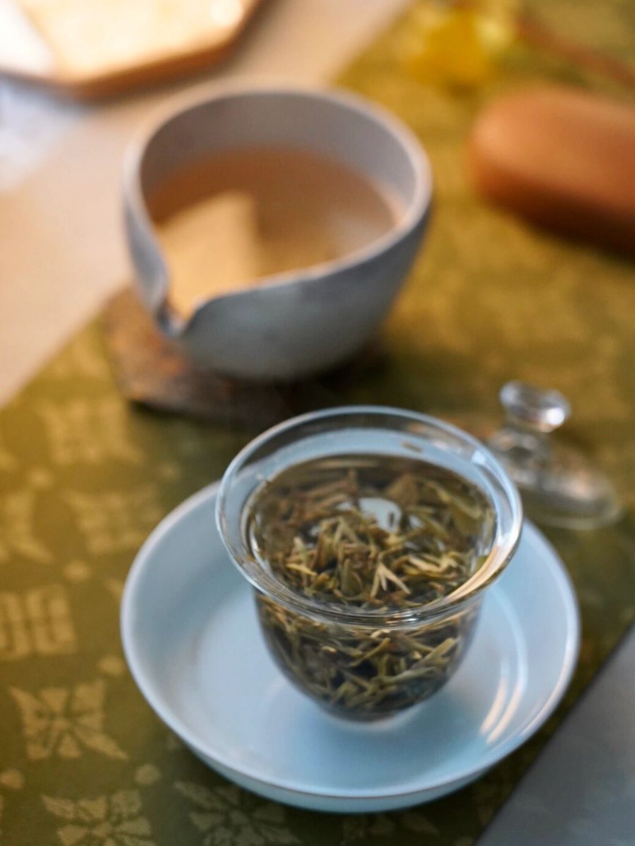 jackie kangaroo tweet media