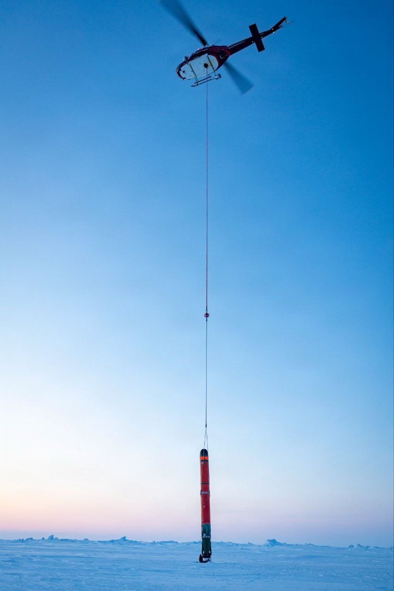 ๐ท๐บ โ๏ธ ๐ฎ๐๐๐๐๐๐๐๐ ๐ฌ๐๐๐๐๐ โ๏ธ tweet media